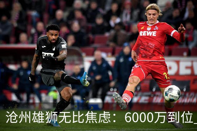 沧州雄狮无比焦虑：6000万到位 准入陷入僵局？